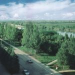 Бендеры - город зелени