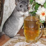 Много пива не бывает